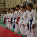 Wiener Karate Landesmeisterschaft 2014