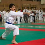 Wiener Karate Landesmeisterschaft 2014