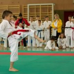 Wiener Karate Landesmeisterschaft 2014