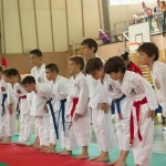 Wiener Karate Landesmeisterschaft 2014