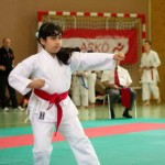 Wiener Karate Landesmeisterschaft 2014