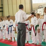 Wiener Karate Landesmeisterschaft 2014