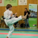 Wiener Karate Landesmeisterschaft 2014