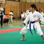 Wiener Karate Landesmeisterschaft 2014