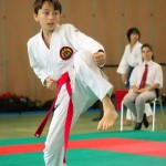 Wiener Karate Landesmeisterschaft 2014