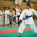 Wiener Karate Landesmeisterschaft 2014