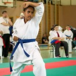 Wiener Karate Landesmeisterschaft 2014