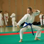 Wiener Karate Landesmeisterschaft 2014