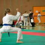 Wiener Karate Landesmeisterschaft 2014