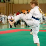 Wiener Karate Landesmeisterschaft 2014