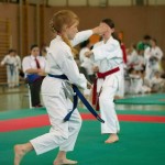 Wiener Karate Landesmeisterschaft 2014