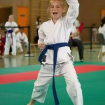 Wiener Karate Landesmeisterschaft 2014