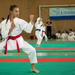 Wiener Karate Landesmeisterschaft 2014