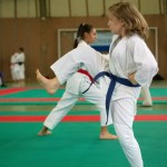 Wiener Karate Landesmeisterschaft 2014