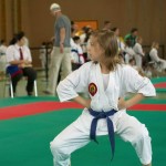 Wiener Karate Landesmeisterschaft 2014