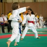 Wiener Karate Landesmeisterschaft 2014