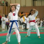 Wiener Karate Landesmeisterschaft 2014