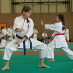 Wiener Karate Landesmeisterschaft 2014