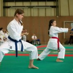 Wiener Karate Landesmeisterschaft 2014