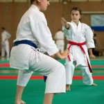 Wiener Karate Landesmeisterschaft 2014