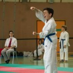 Wiener Karate Landesmeisterschaft 2014