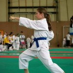 Wiener Karate Landesmeisterschaft 2014