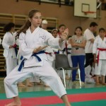 Wiener Karate Landesmeisterschaft 2014