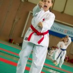 Wiener Karate Landesmeisterschaft 2014