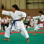 Wiener Karate Landesmeisterschaft 2014