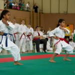 Wiener Karate Landesmeisterschaft 2014