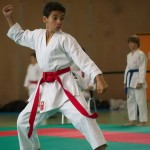 Wiener Karate Landesmeisterschaft 2014