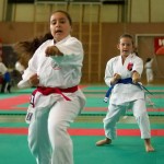 Wiener Karate Landesmeisterschaft 2014