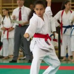 Wiener Karate Landesmeisterschaft 2014