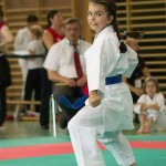 Wiener Karate Landesmeisterschaft 2014