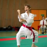 Wiener Karate Landesmeisterschaft 2014