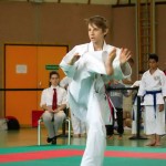 Wiener Karate Landesmeisterschaft 2014