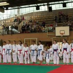 Wiener Karate Landesmeisterschaft 2014