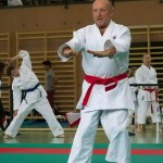 Wiener Karate Landesmeisterschaft 2014