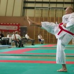 Wiener Karate Landesmeisterschaft 2014