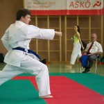 Wiener Karate Landesmeisterschaft 2014