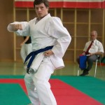 Wiener Karate Landesmeisterschaft 2014