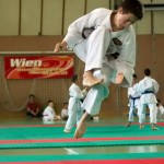 Wiener Karate Landesmeisterschaft 2014