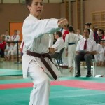 Wiener Karate Landesmeisterschaft 2014