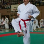 Wiener Karate Landesmeisterschaft 2014