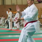 Wiener Karate Landesmeisterschaft 2014