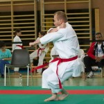 Wiener Karate Landesmeisterschaft 2014