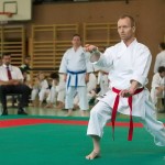 Wiener Karate Landesmeisterschaft 2014