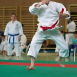 Wiener Karate Landesmeisterschaft 2014