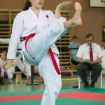 Wiener Karate Landesmeisterschaft 2014