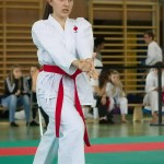 Wiener Karate Landesmeisterschaft 2014